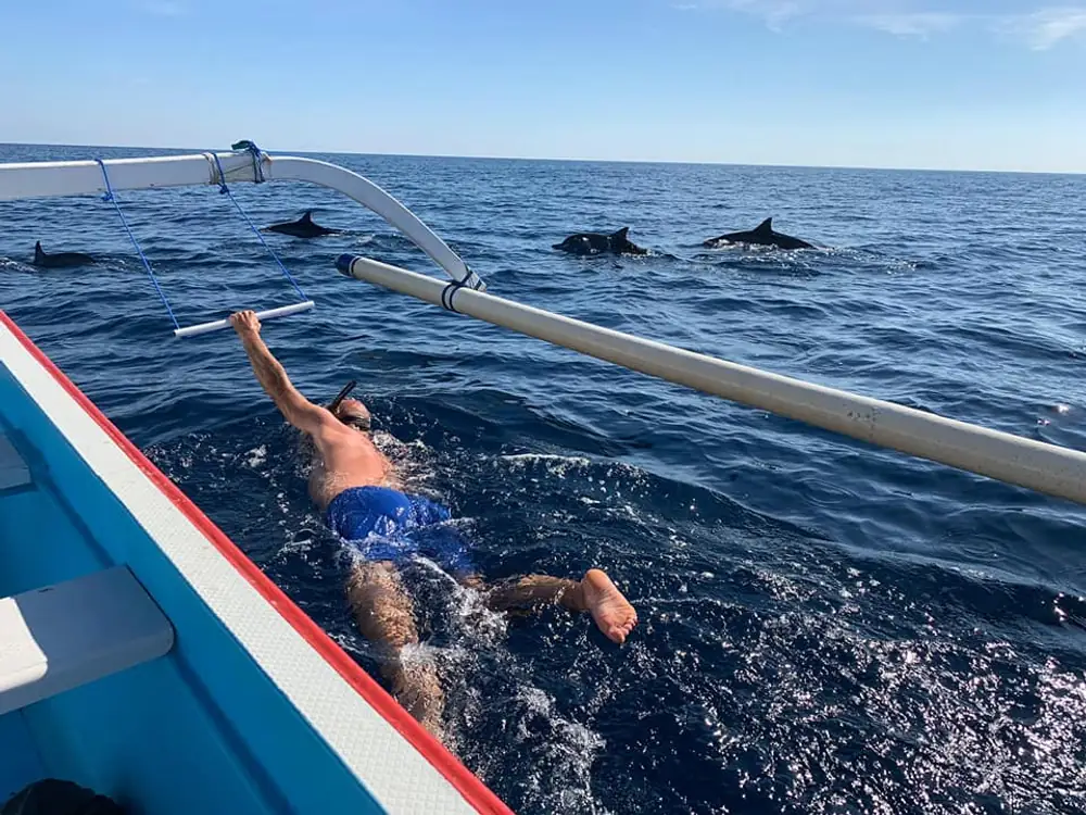 Dolphin Watching & Snorkeling in Lovina, Bali