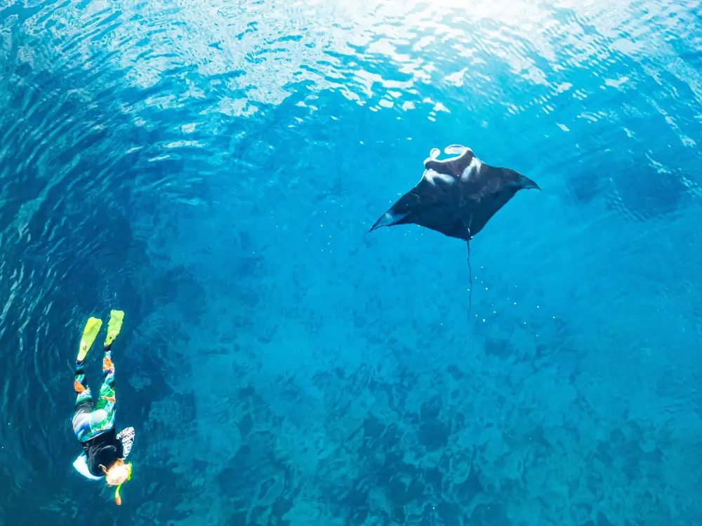 Shared Snorkeling, 3–4 Spots — Photo 4 of 4