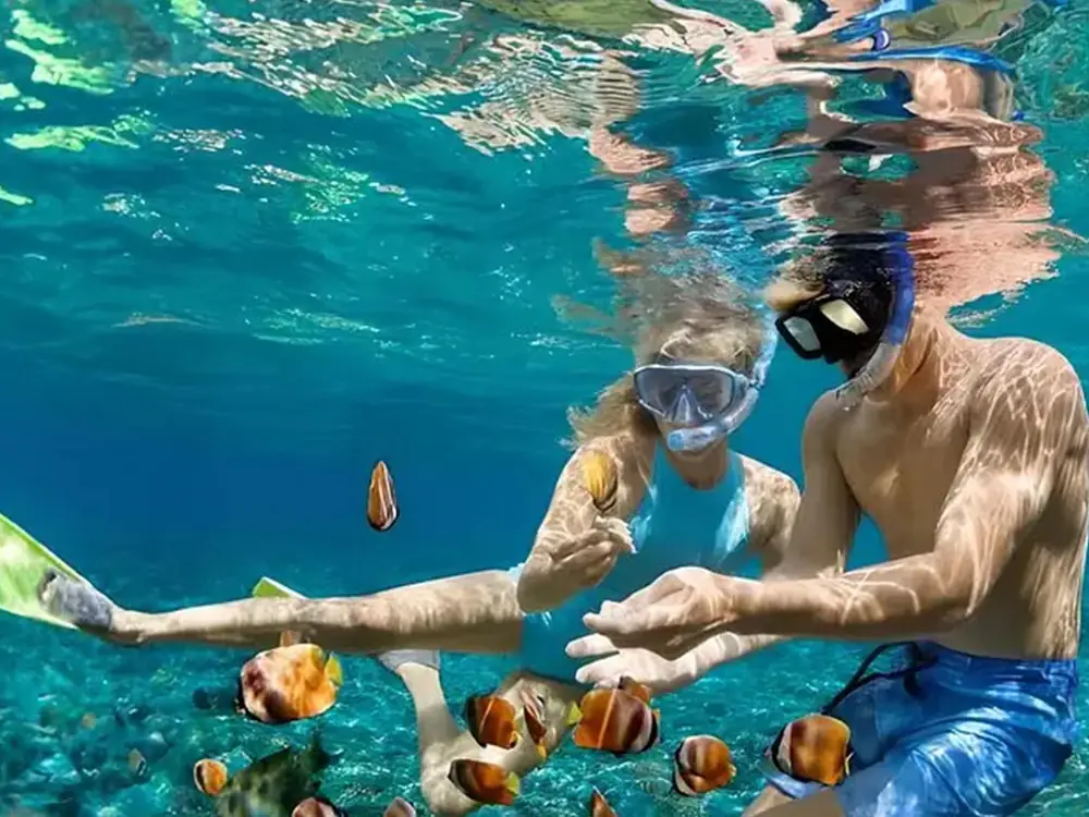 Tanjung Benoa Snorkeling in Tanjung Benoa, Bali